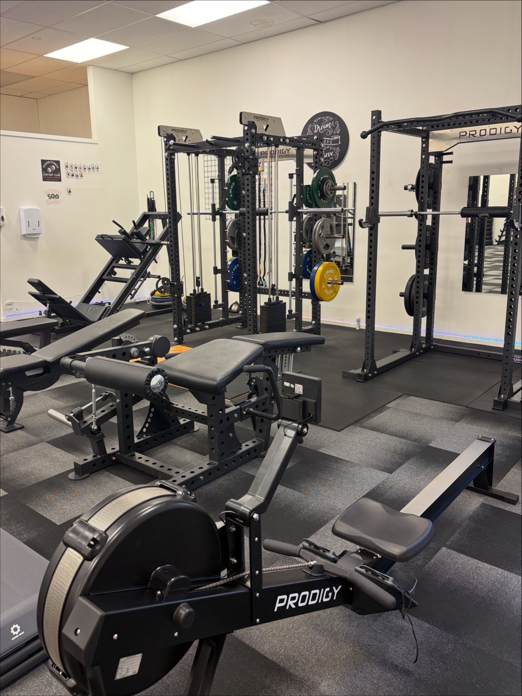 Power racks, rower and free weights